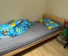 bed