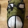 dogs coat Image 2
