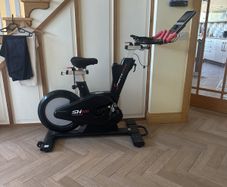 Needs repair FREE bike