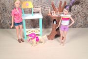 BARBIE BUNDLE Barbie pet rescue doll and Skipper doll with puppy dog