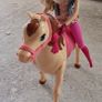 Barbie Saddle 'N Ride Horse and Doll Set Image 3