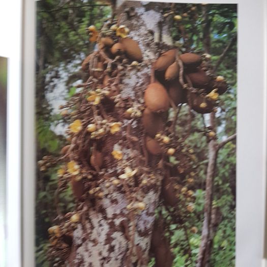 The World's Wild Places Time-life Books. 1x The Amazon.  2x Africa's Rift Valley. HARDBACK.