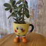 plant with plant holder Image 5