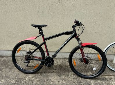 Mens Bike
