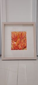 Hand Painting - Red Tulip
