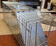 Humane Animal Trap/Carrier