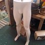 Male Mannequin Legs Image 2