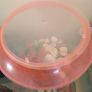fish tank 50 liters with see decorations, just add water and your pet, ready to use Image 2