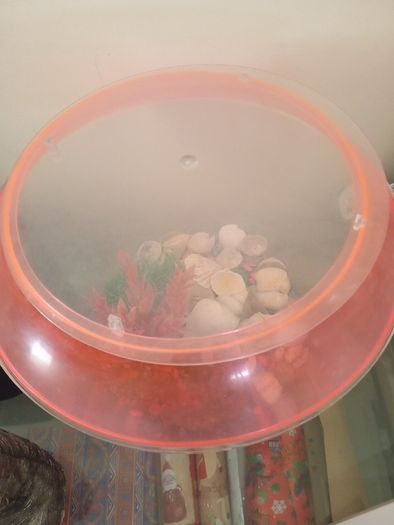 fish tank 50 liters with see decorations, just add water and your pet, ready to use