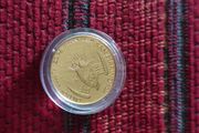 gold coin 3.1
