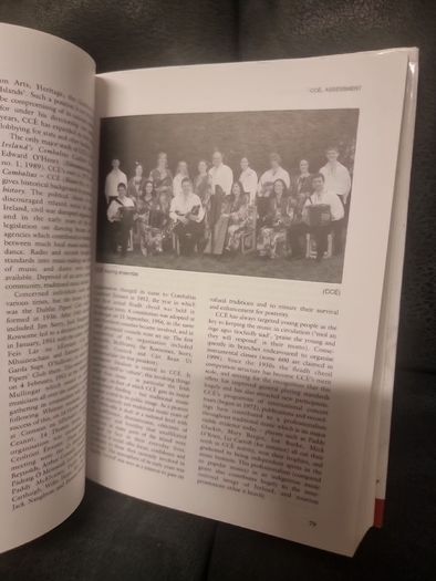 Companion to Irish Traditional Music (Hardback)
