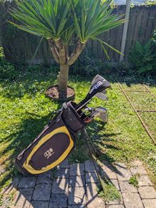 Ladies or mens golf clubs
