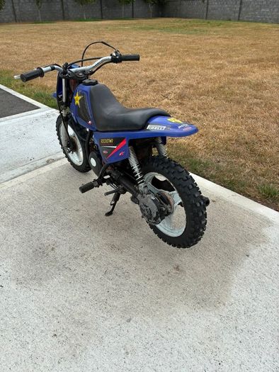 Yamaha PW50