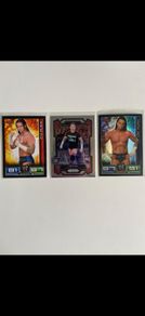 WWE CM Punk trading cards lot