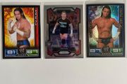 WWE CM Punk trading cards lot