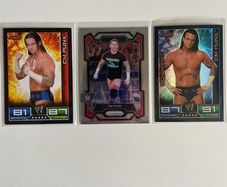 WWE CM Punk trading cards lot