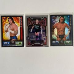 WWE CM Punk trading cards lot