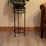 plant stand Image 5