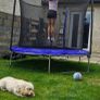 Trampoline Image 2