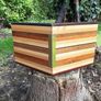 David Levy wooden CD rack Image 4