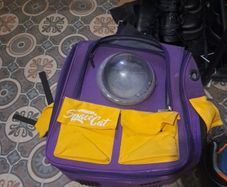 SpaceCat bag. Cat Bag