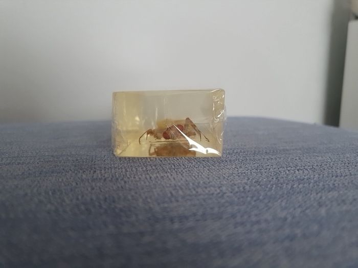 Halloween Insects In Glass Big Clearout, Make An Offer