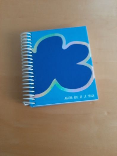 Mini spiral notebook