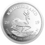 2019 South Africa 1 Rand 1 oz Silver Coin - Krugerrand . Proof. Image 2