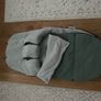Bugaboo Cameleon 3 Light Green Image 5