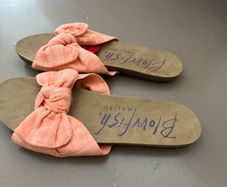 Blowfish  Slides