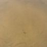 Vintage Style Nike Crewneck Small Sun Yelllow Image 5