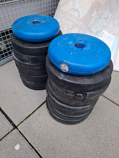 weights and bench