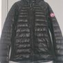 Canada Goose Image 2