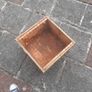 bees Image 4