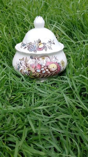 Fruits and Flowers Sugar Bowl