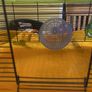 hamster cage and accessories Image 3
