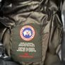 Canada goose medium Image 4