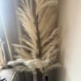 Reed tree light , floor standing 180cm Image 2