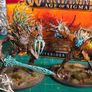 Age of Sigmar Sylvaneth Army Image 4