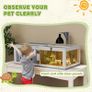 Wooden Tortoise House with Lamp Holder, Clear Windows, Openable Tops, Built-In Tray, Light Grey Image 5