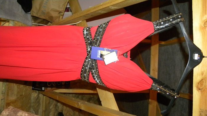beautiful red nikka dress