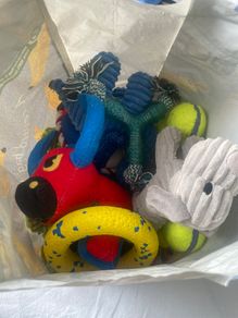 Puppy Toys