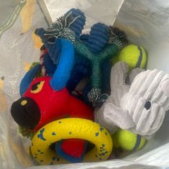 Puppy Toys