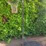 basketball hoop Image 2