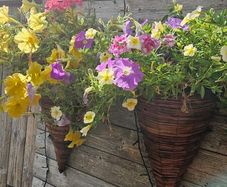 Hanging Baskets, Wall Cones
