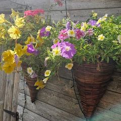 Hanging Baskets, Wall Cones