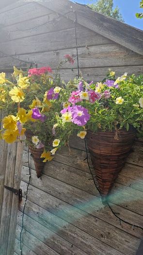 Hanging Baskets, Wall Cones