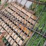 Victorian wrought iron gates Image 8