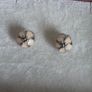 Pandora cherry blossom clips charm, featuring smooth cream enamel petals and a sterling silver beaded center very good condition Image 6