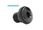 Mounting bolt - rear derailleur hanger bolt / screw
